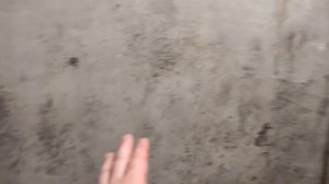 Как убрать плесень со стен ? (Часть 22)