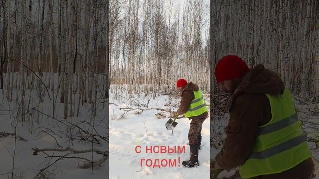Новогоднее поздравление!