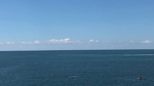 Дельфины на нашем пляже.