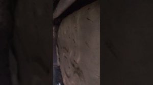 Fiat linea 1.4 turbo