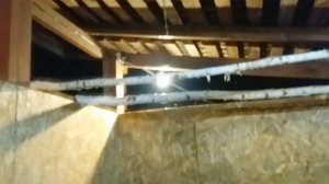 30.10.24.А у нас в Сибири СНЕГ!!!