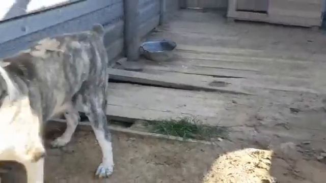 ПРИВЕТ ОТ АЗОТА