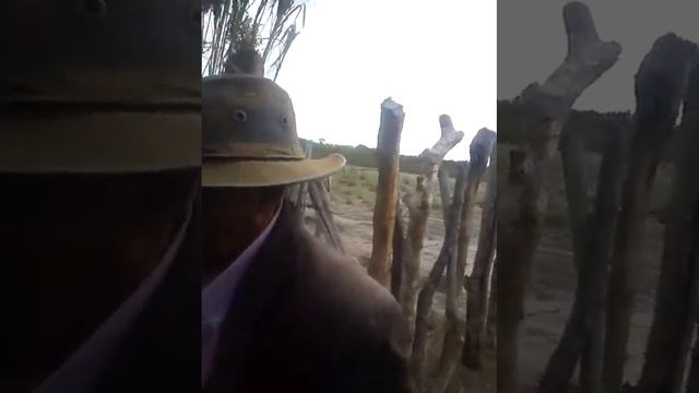 A fazenda de seu lizin(1) смотреть онлайн