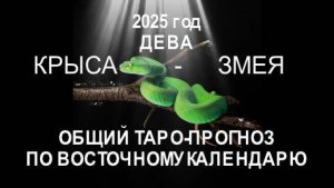 ОБЩИЙ ТАРО-ПРОГНОЗ НА 2025 ГОД ПО ВОСТОЧНОМУ КАДЕНДАРЮ. ДЕВА (КРЫСА-ЗМЕЯ)