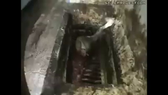 Как колбасы делаются