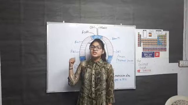 Chap 11 Biotechnology | Class 12th|Plasmid Vector pBR322| Easy trick to learn | By SheenamGarg