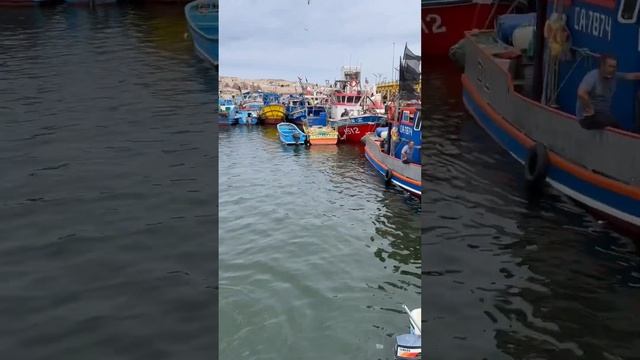 Рыбаки в Чили и моя Мечта ловить рыбу в Океане Отдых Путешествие Мир Опасный Отдых #shorts #short