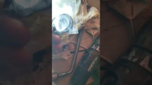 Мотоблок АГАТ замена сальников
