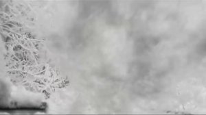 На ниве по зимнему лесу