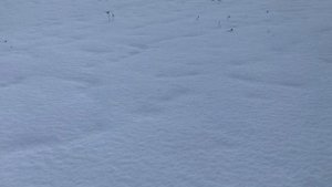 Прогулка зимой