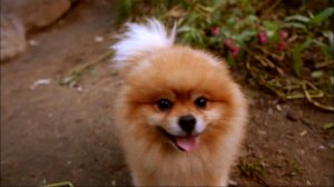 Находочка у Камня