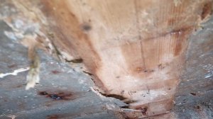 Проверяем перекрытие из арболита три года спустя после заливки.