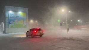 Норильск/Прелести природы.