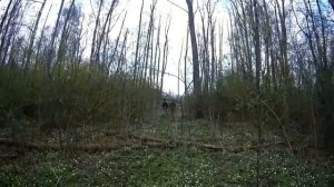 Квадропутешествие Вдоль озера Большое Олбито Мимо Деревни Бояриново - Через Бурелом - Псковская Обла