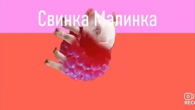 Мышка сосиска, крыска ириска,кот бутерброд авокадо бегемот и так Далия смотреть онлайн