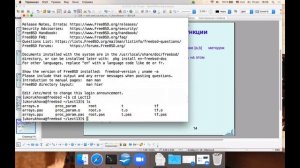 Язык Pascal (Паскаль). Функции. Процедуры. Модули. Лекция №13