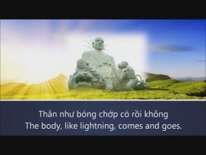 Enjoy Dhamma in this world -  Huong Lan