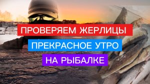 ОТЛИЧНЫЙ клёв ХИЩНИКА на ЖЕРЛИЦЫ! СУДАК и ЩУКА вышли на охоту!