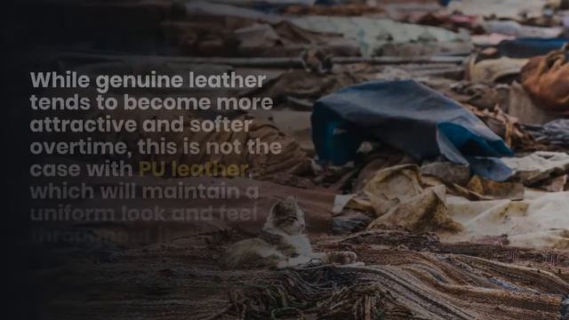 Pu Leather Vs Real Leather - Genuine Leather Or Artificial Leather? смотреть онлайн