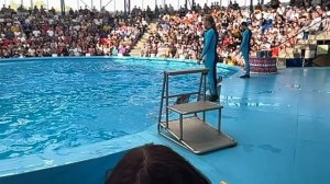 Сочи Парк , 09.2024