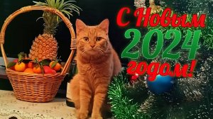 С Новым 2024 годом!