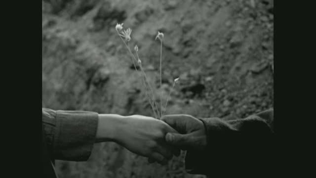 Голуба стихи и музыка Александра Розенбаума. Исполняет Марина Щёткина.