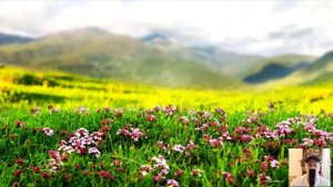 Когда Аня возвращалась домой, цыганка схватила её за руку  Слова цыганки ужаснули её...