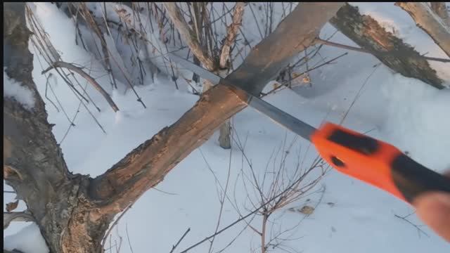 Складные ножовки Finland и Total - пилим ветки.