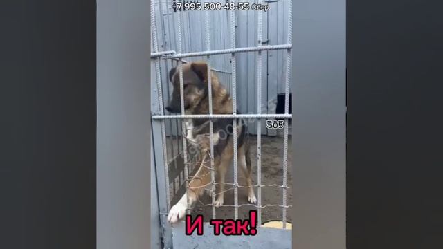 1000002928.mp4