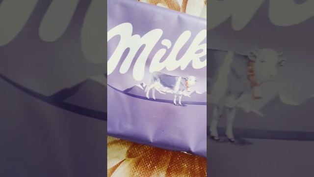 Milka chocolate😍🍫 #shorts #short #videos #shortvideo #youtubeshorts #youtube #chocolate #milka#funn