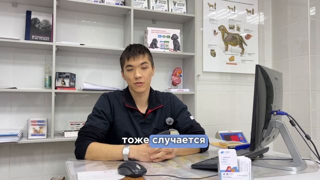 «Что делать, если вы нашли животное на улице?  Советы ветеринара»