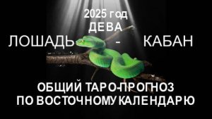 ОБЩИЙ ТАРО-ПРОГНОЗ НА 2025 ГОД ПО ВОСТОЧНОМУ КАЛЕНДАРЮ. ДЕВА (ЛОШАДЬ-КАБАН)