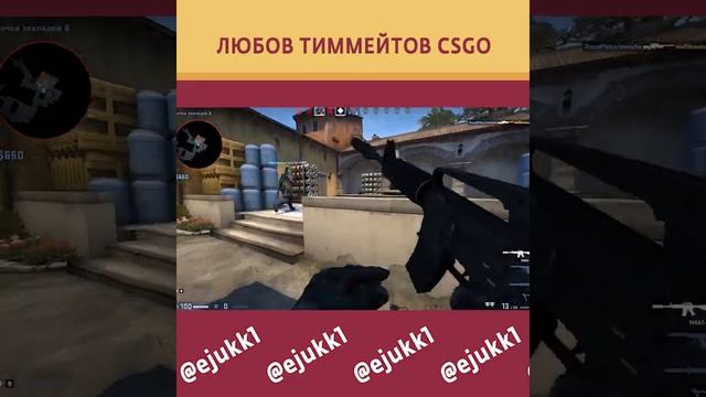 ТВОИ АДЕКВАТНЫЕ ТИММЕЙТЫ В CSGO #cs #ксгоприколы #csgo #csgoclips #кс #ксго #short #shorts