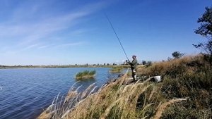 Рыбалка в черте города