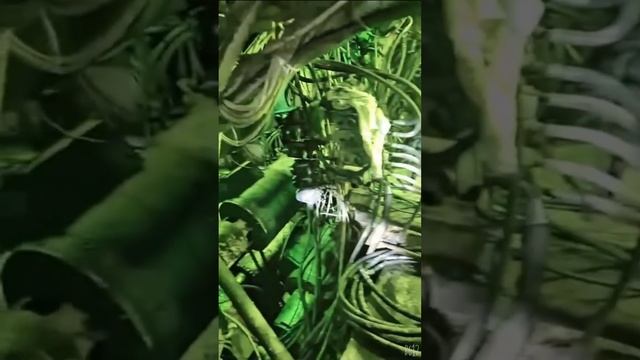 Процесс проходки правого перегонного тоннеля одной из станций Рублёво-Архангельской линии.