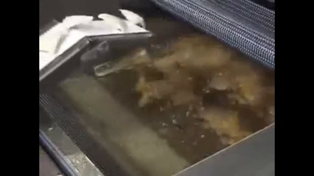 Coal Heated Conveyor Continuous Fried Food Fryer Machine