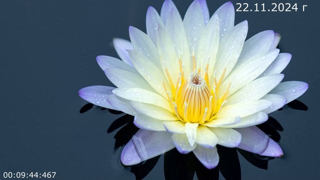 980 О четвертом 22.11.2024 г смотреть онлайн