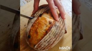 Домашний подовый хлеб на Шугуровской муке 1с на закваске Левитомадре