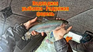 Подледная рыбалка на водохранилище - Радужная форель
