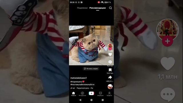 тик-ток смотреть онлайн