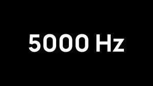 Месть соседям высокочастотный звук 5000 герц 4 часа для соседей