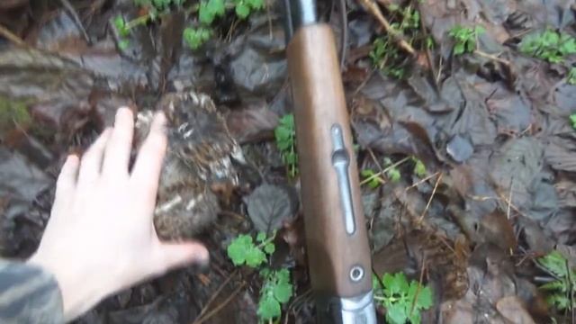 Охота на рябчика. Дело случая смотреть онлайн