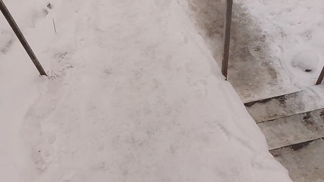 утренний влог 1 часть