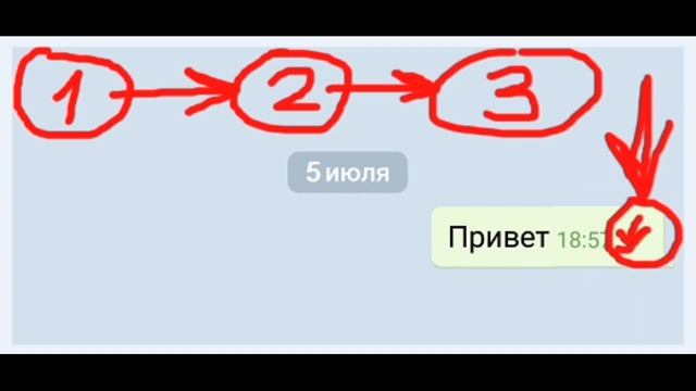 Что означают галочки в Телеграмме ?