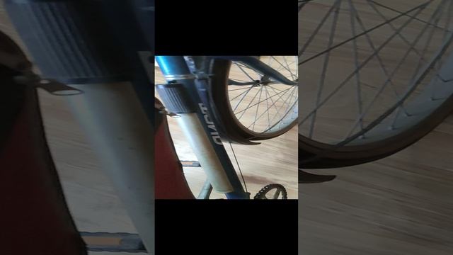 VID_20250104_120251