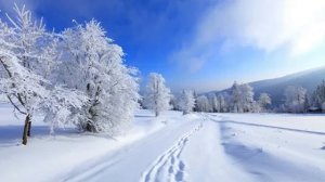 ТАК НУЖНЫ. Исполняют Мила Кун и Алексей Тарадайко.