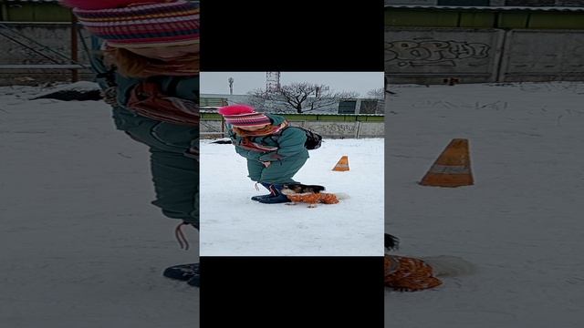 веселушки на занятиях