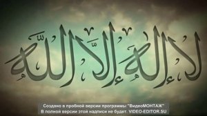 Nasheed__(Tabsirah)
