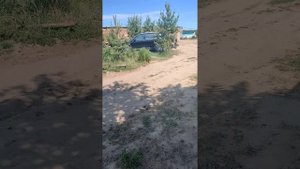 Реабилитационный центр для птиц "Воронье гнездо" (Киржач)