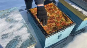 Зимовка на улице!!! Теория и практика!!!